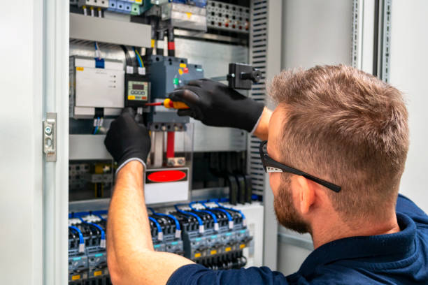 Best Affordable Electrician  in Woodville, OH