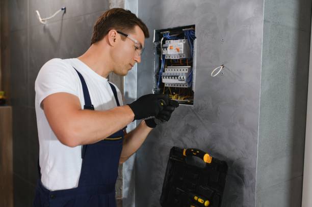 Best Generator Installation Services  in Woodville, OH